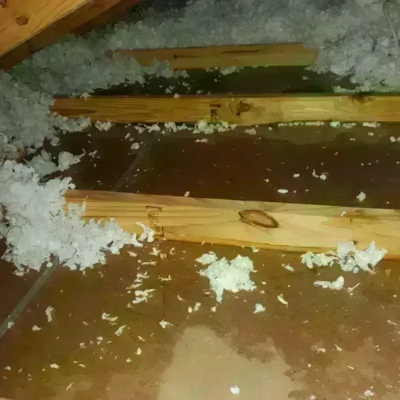 Attic Water Damage in Norman, OK