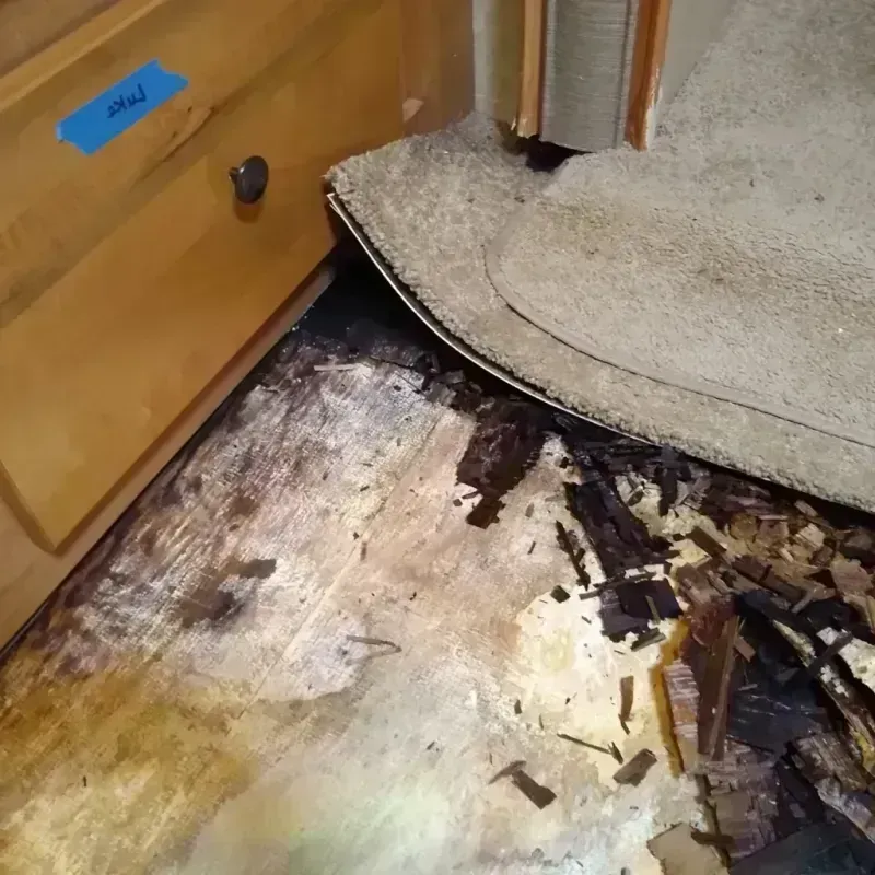 Wood Floor Water Damage in Norman, OK